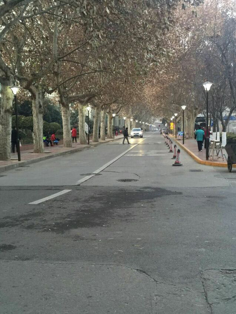 道路路燈 道路路燈