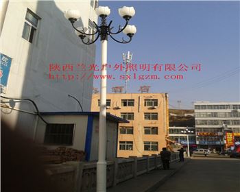 內(nèi)蒙古中華燈-陜北道路照明項(xiàng)目