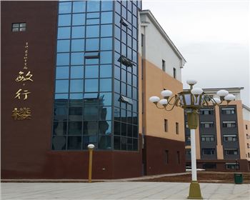 學(xué)校庭院景觀燈-陜西省寶雞高新一中路燈工程